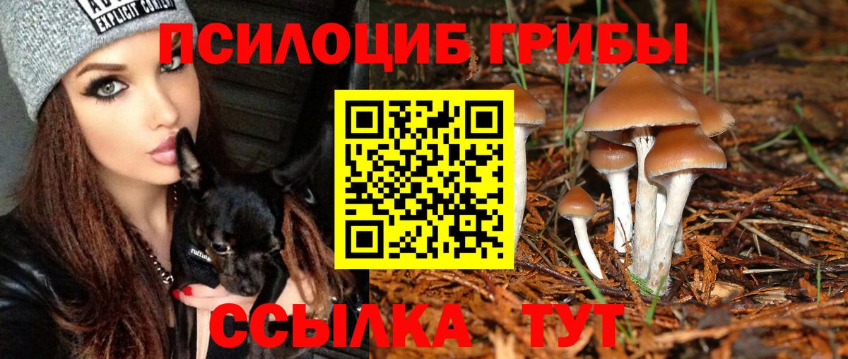 Конопля  Вход с VPN  Кандалакша  Гашиш  Мефедрон   КОКАИН 