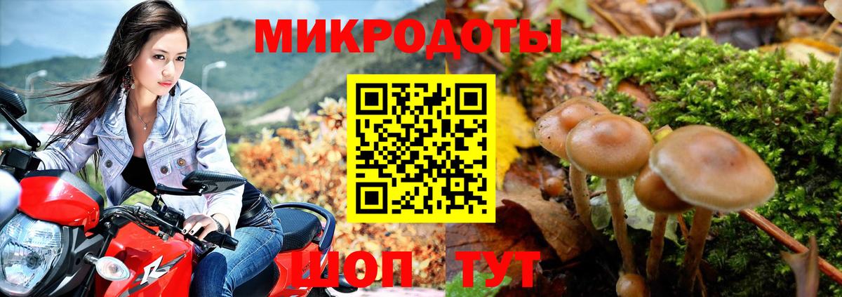 Галлюциногенные грибы Magic Shrooms  Вход с VPN  купить наркотик  Кандалакша 